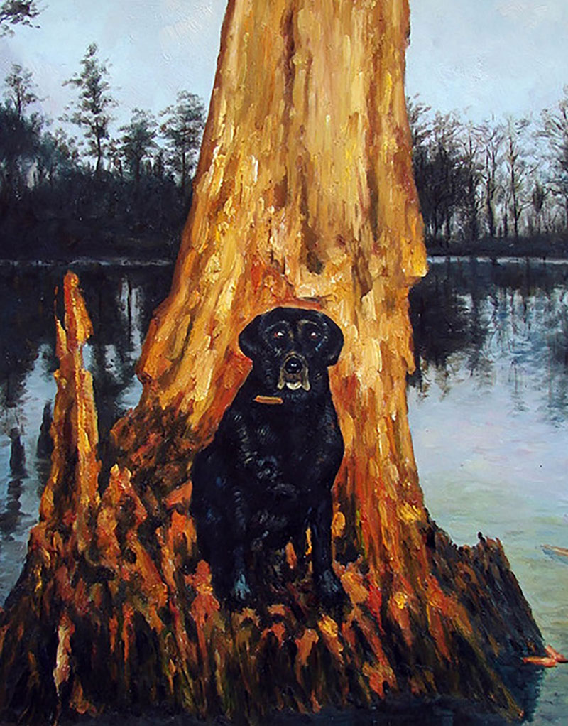 Black Labrador retriever sitting by a tree stump in a swamp.