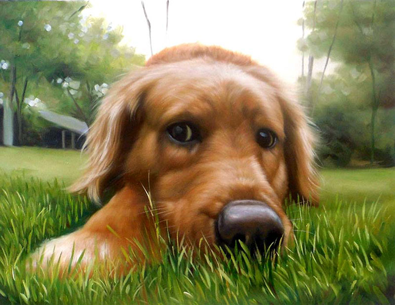 dog portrait in oil - paint your pet