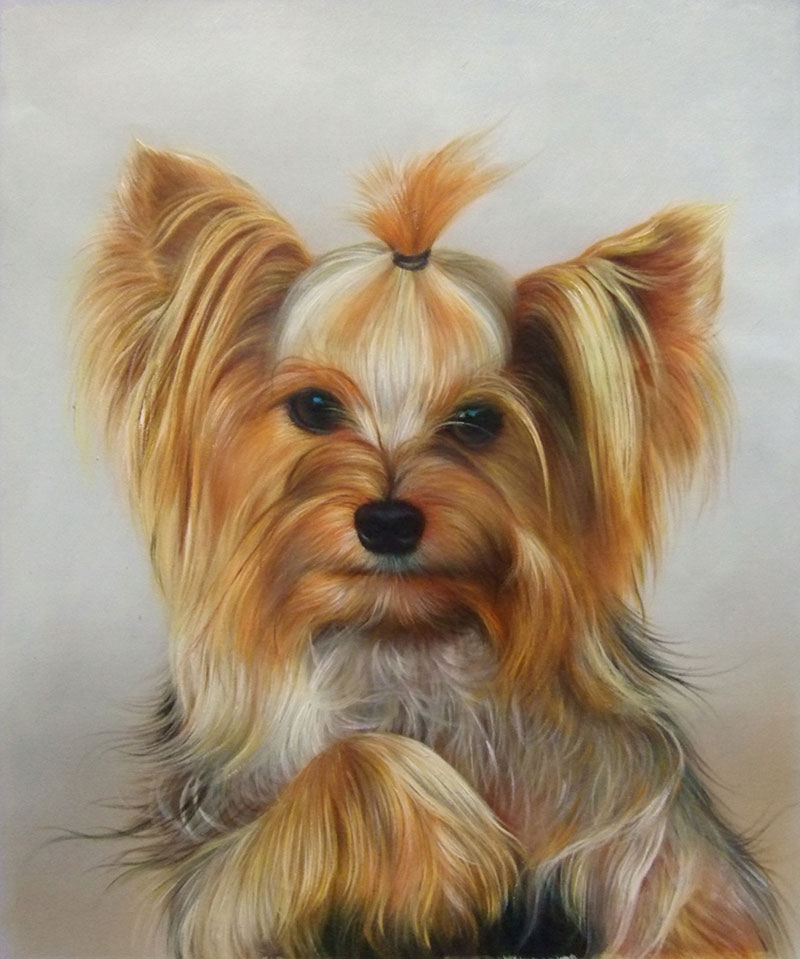 Painting of a Yorkshire Terrier with its hair in a ponytail.