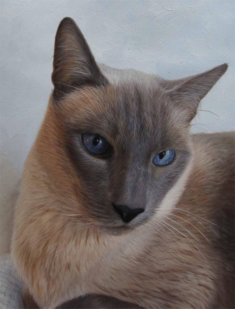 pintura de la lona del gato