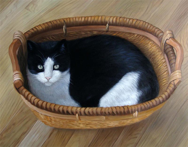 Black and white cat in a wicker basket.