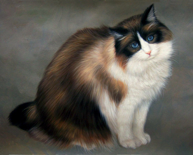 painting of long hair cat posing for the camera
