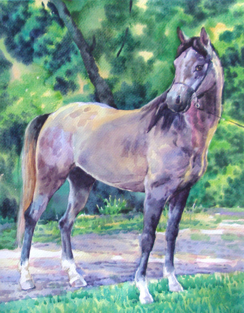 portrait cheval