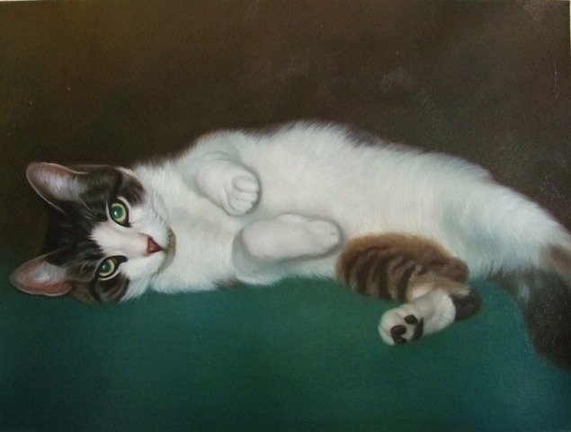 custom oil pet portrait of cat laying down 