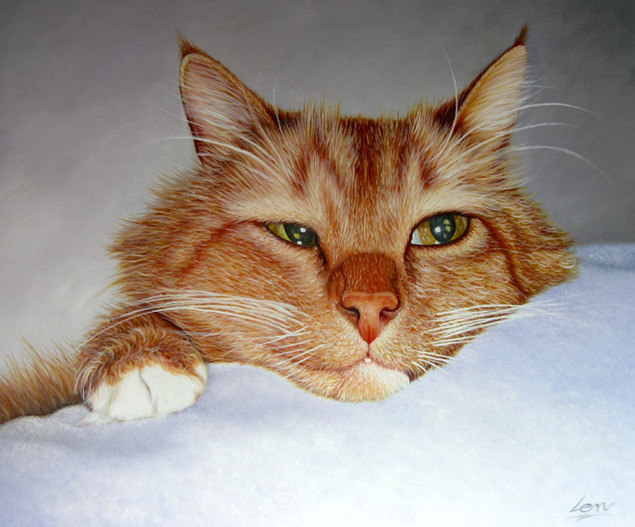 realistic painting of sleepy cat