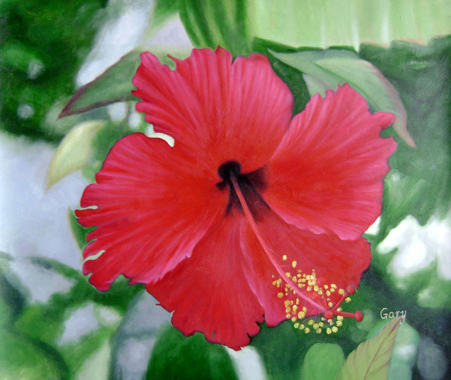 Painting of a red hibiscus flower