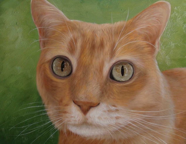 cat portrait on canvas 