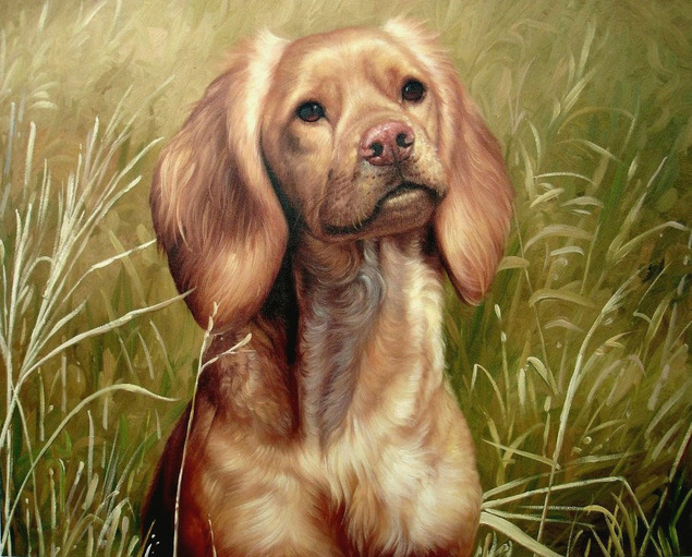 Painting of a light brown spaniel in tall grass