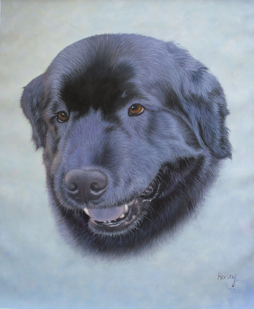 hond het schilderenhonden schilderij van foto