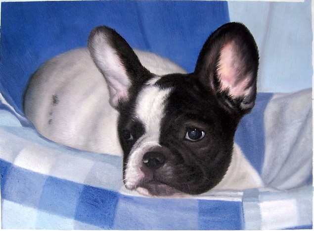 cute dog painting
