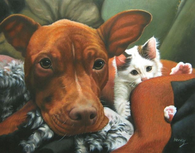 custom pet portraits - dog and cat