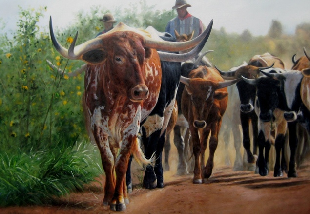 Longhorn cattle driven by cowboys on a dirt road.