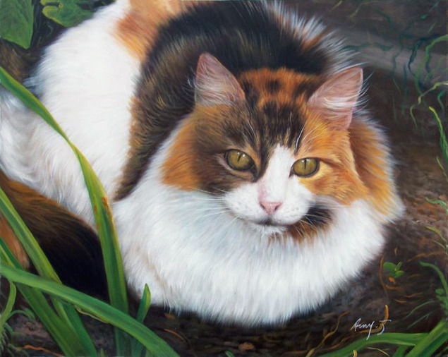 mon chat que la peinture à l'huile