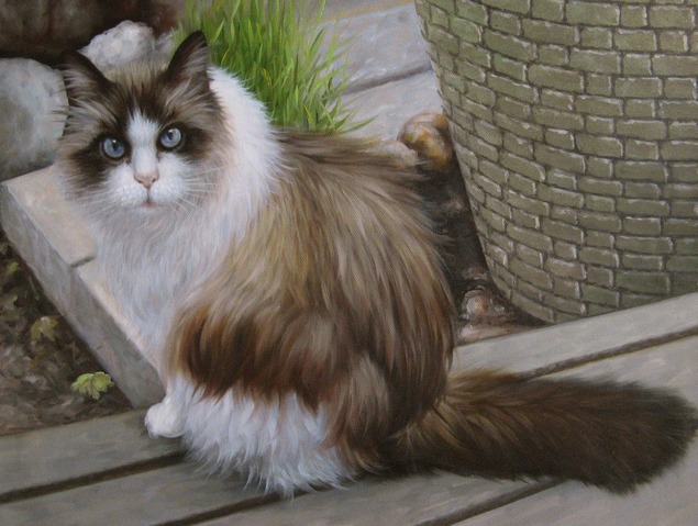 pet painting from photo of long haired cat outdoors