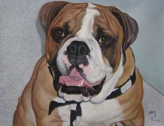 chubby cute dog oil painting