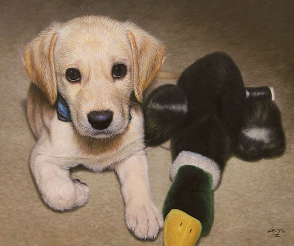 Hundebaby gemalt von einem Foto in Öl
