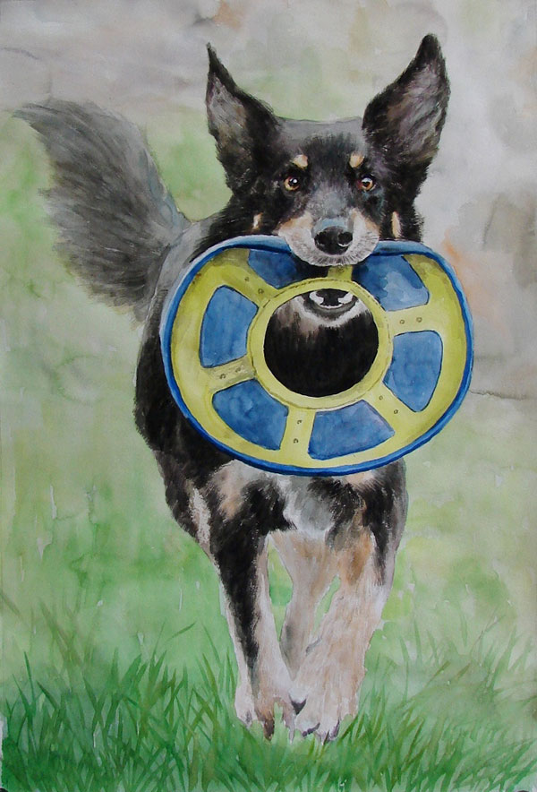 custom watercolor painting of dog holding frisbee