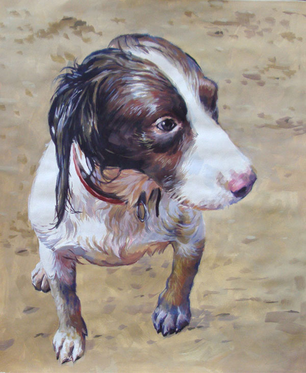 portraits de chiens sur toile