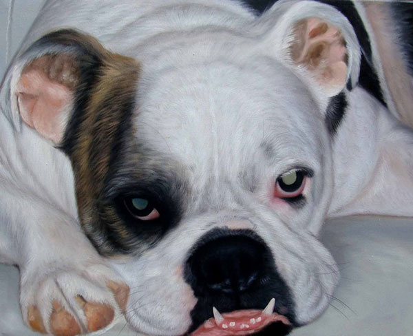 Custom oil painting of a laying bulldog