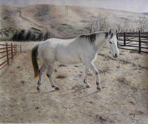 paint pictures in oil