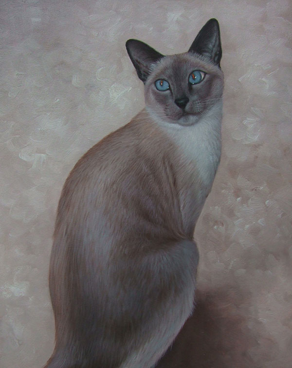 pet painting of grey cat local artist