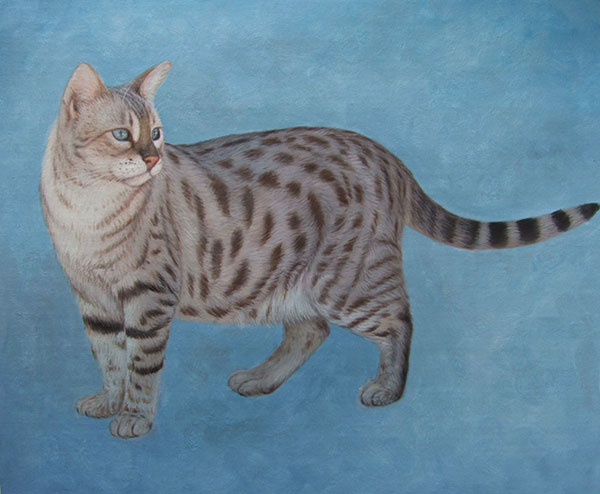 animal painting cat pet portrait artists near me