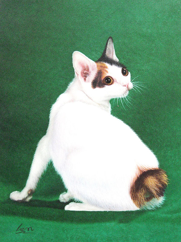short tailed furry friend cat picture to painting