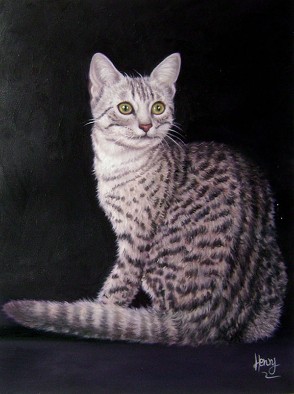 grey tiger cat photo to painting