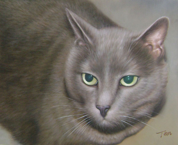 close up grey cat photo to painting