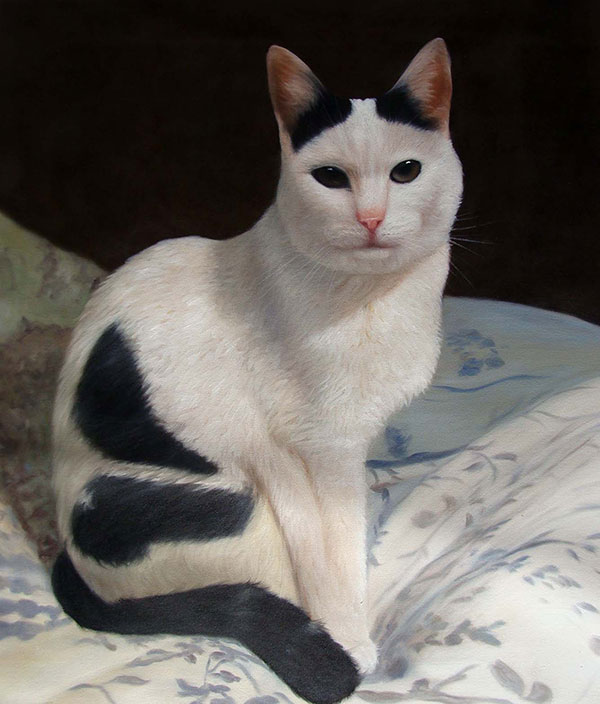 White and black cat posing on bed oil painting