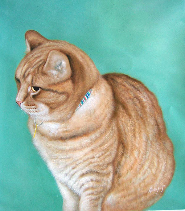 orange cat pet portrait