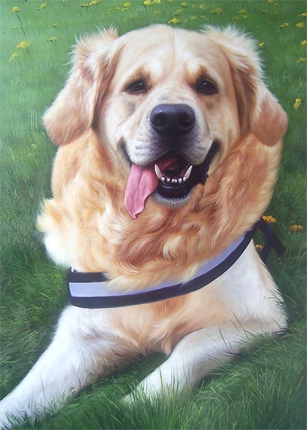Hundeportrait gemalt in Öl