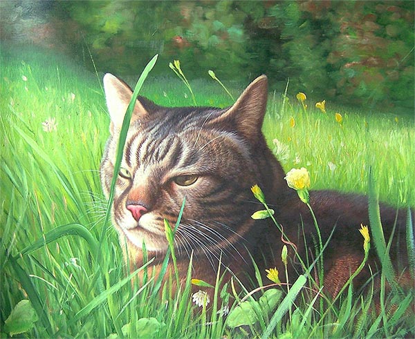 cat canvas painting
