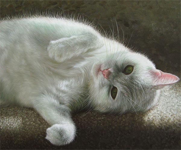 cat portraits on canvas