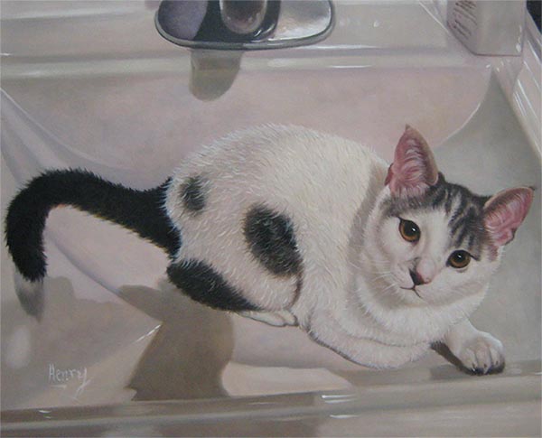 i ritratti di gatti su tela