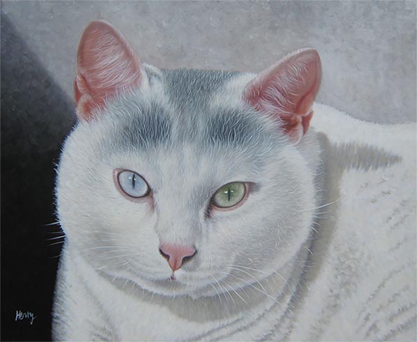 gatto arte