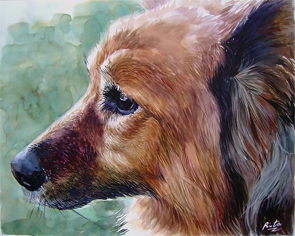 dog portraits on canvas pug in watercolor