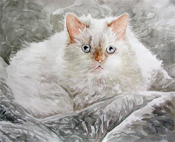 portraits de chats sur toile
