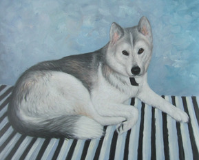 retratos de perros