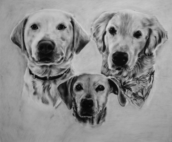 personalized charcoal drawing of three dogs