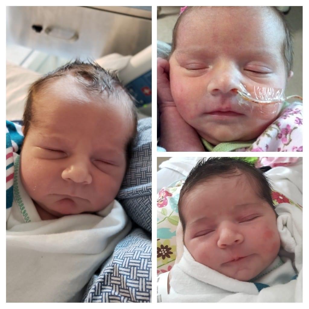 Gorgeous oil painting of three babies with a custom text