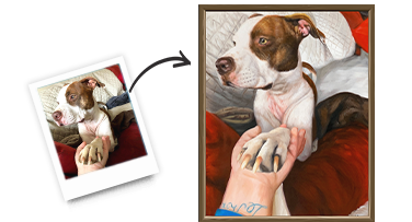 Let dreamteam choose