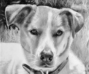 Black Pencil