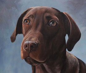 blue-cold background