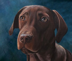 blue-dark background