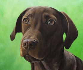 green-warm background