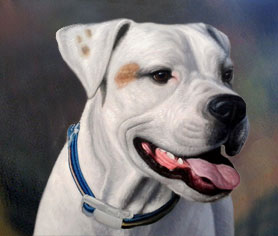 blue-bronze background