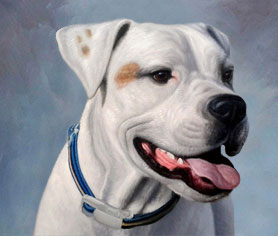 blue-cold background