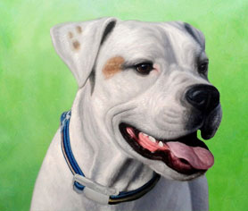 green-warm background