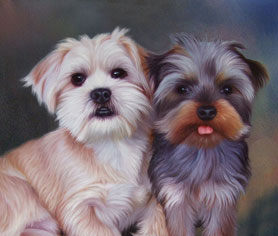 blue-bronze background